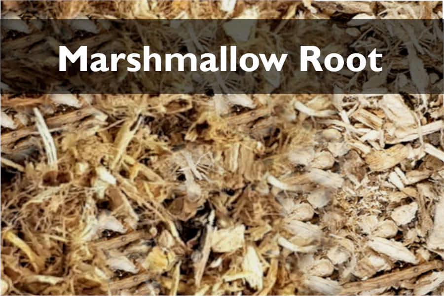 The 6 Marshmallow Root Hair Benefits Best Ways to Use It