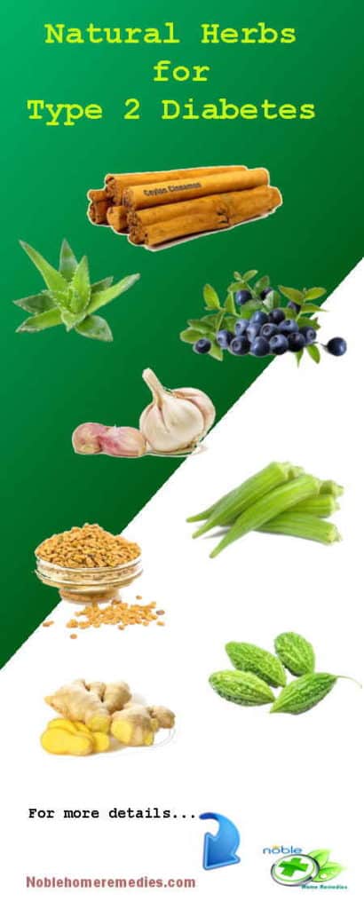 Top 8 Natural Herbs for Diabetes type 2 - Remedies