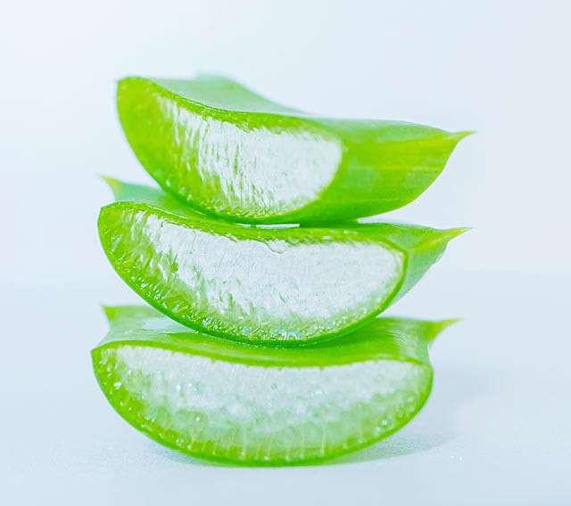 Aloe Vera helps to relieve ringworm symptoms