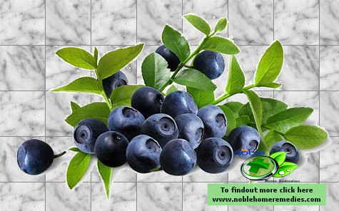 Bilberry Extract for Diabetes