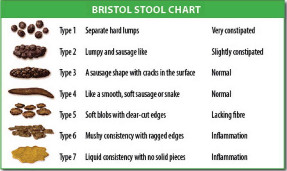 bristol stool chart with shape and condition 