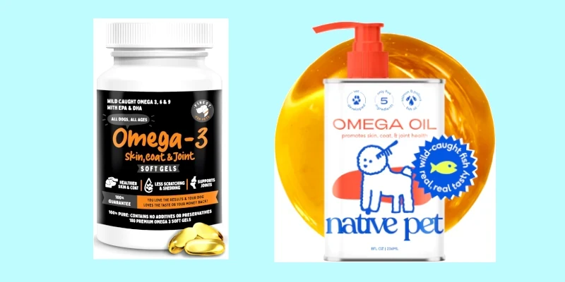 Choices of fish oil supplements for dogs