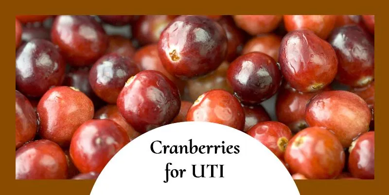 Cranberries helps heal UTI fast