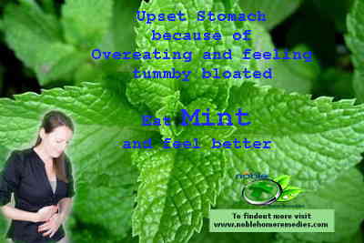 Eat Mint for an Upset Stomach caused by overeating and bloated tummy