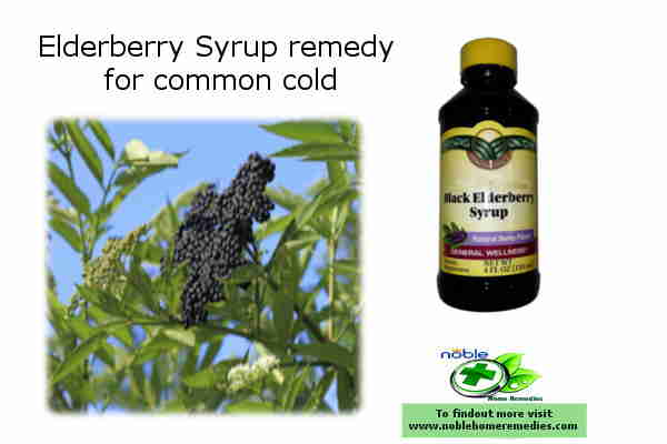 Elderberry Syrup - common cold treatment