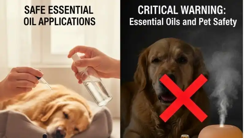 Essential Oils Natural Flea Deterrents for the Home