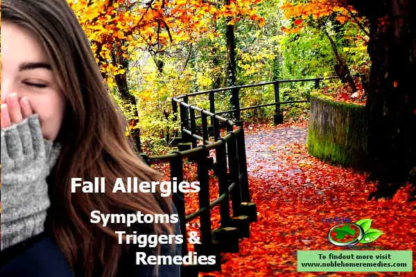 fall allergies symptoms triggers and remedies