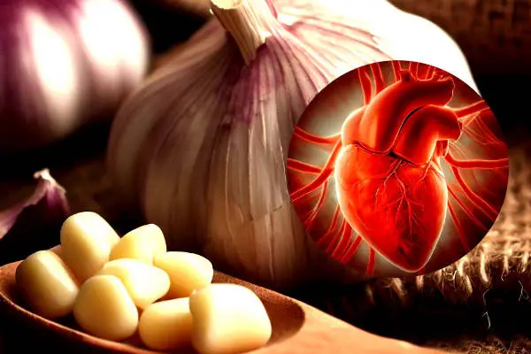 Garlic for Cardiovascular Health Benefits