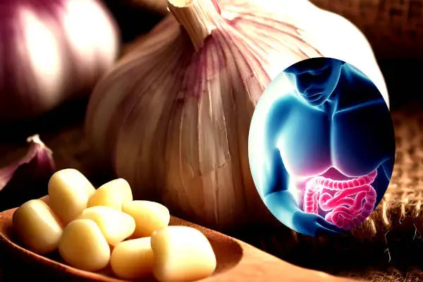 Garlic for Digestive Health