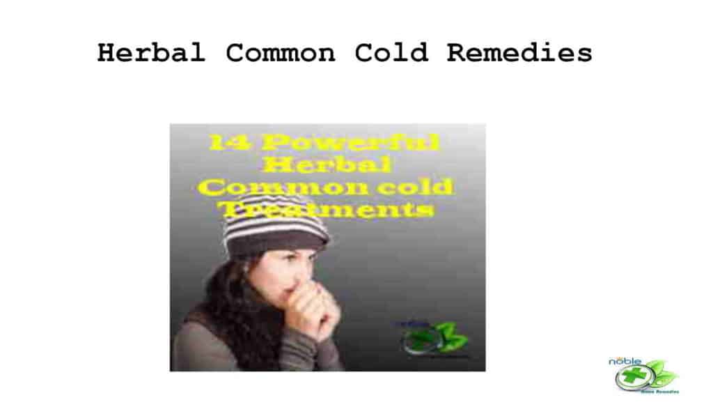 Herbal Common Cold Treatment