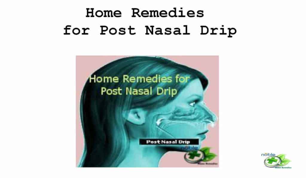 Home Remedies for Post Nasal Drip