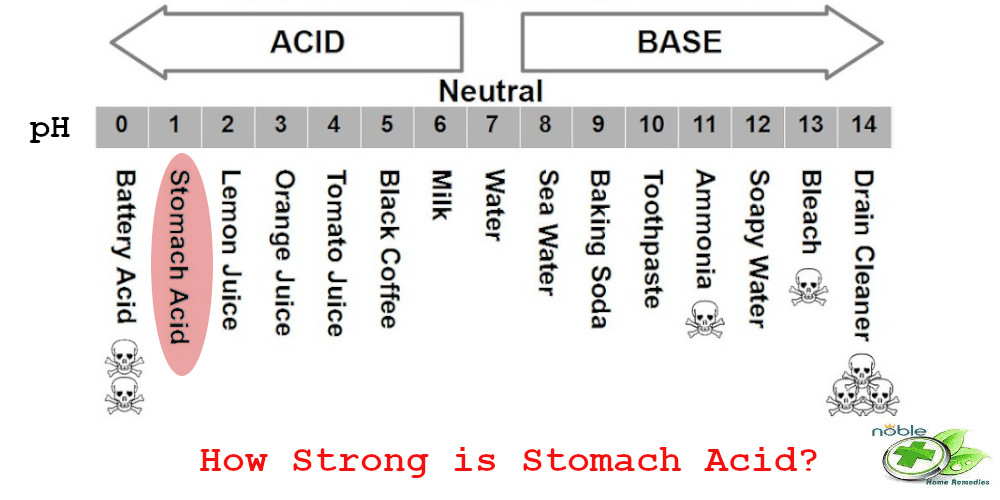 pH Level of stomach acid