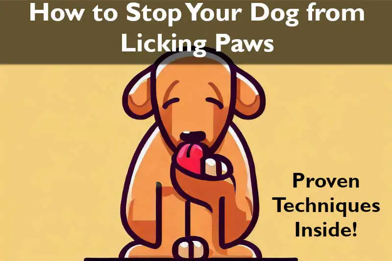 How to Stop Your Dog from Licking Paws - Proven Techniques Inside