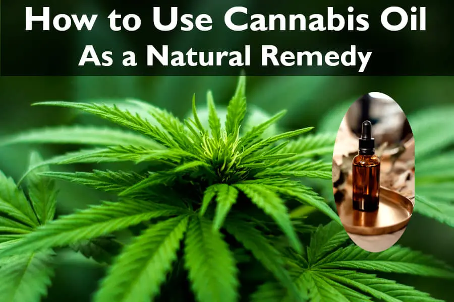 How to Use Cannabis Oil