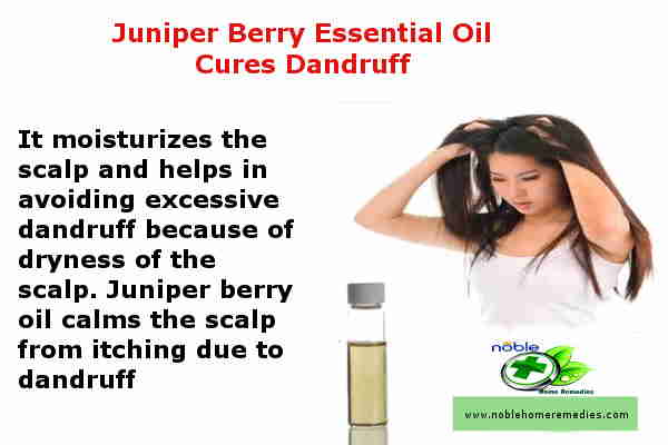 Juniper Berry Essential Oil Cures Dandruff