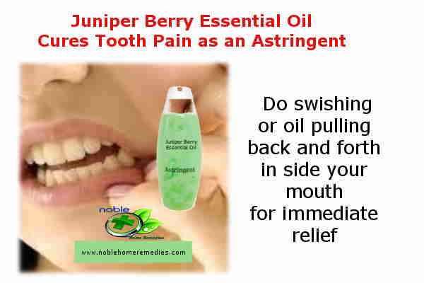 Juniper Berry Essential Oil Cures Tooth Pain as an Astringent