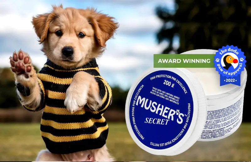 Mushers Secret Dog Paw Wax