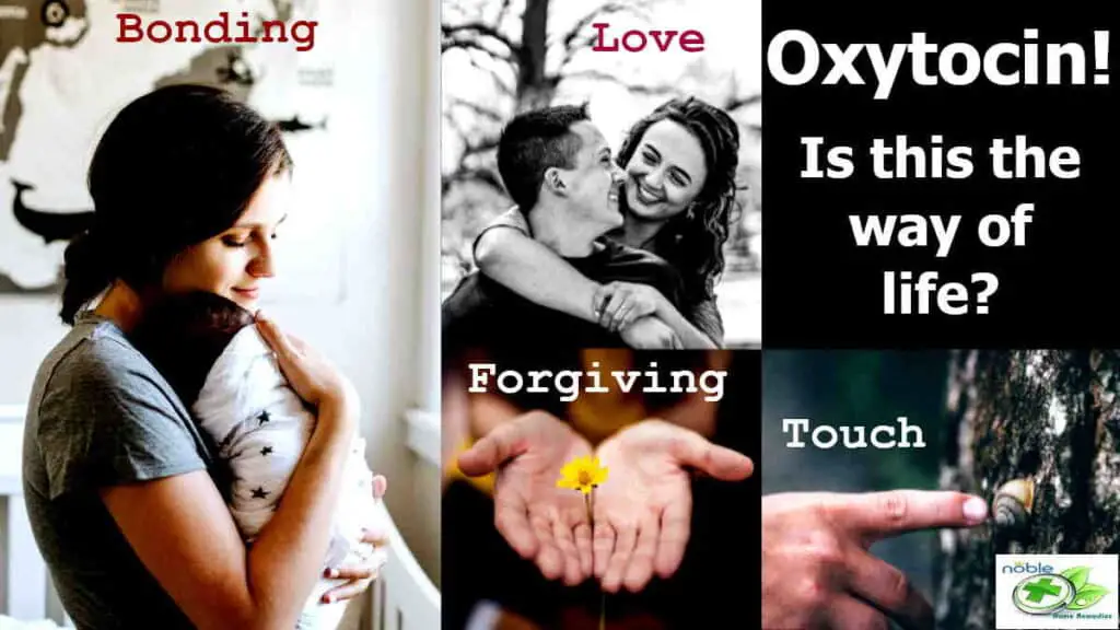 Oxytocin Benefits, Uses and Side - Love Hormone Or Cuddle HormoneEffects