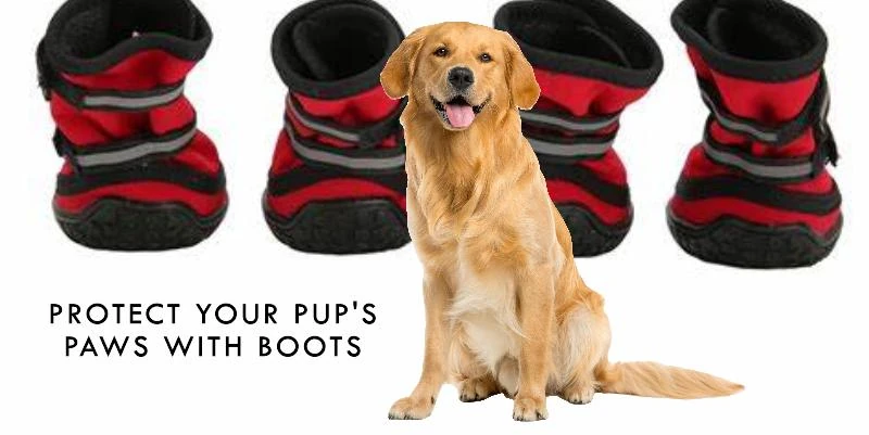 Dog Boots for Outdoor Walks