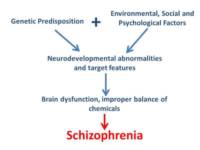 Formation od Schizophrenia flowchart