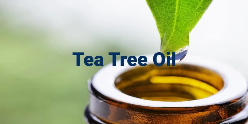 Tea tree oil