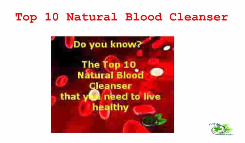 Top 10 Natural Blood Cleanser