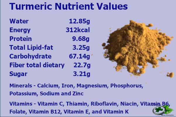 Turmeric Nutrient Values and Turmeric Health Benefits 