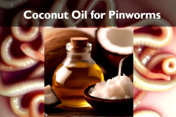 Coconut oil for Pinworms