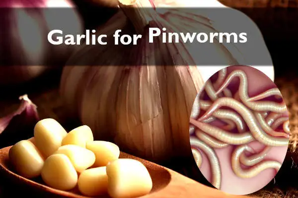 garlic for pinworms treatment