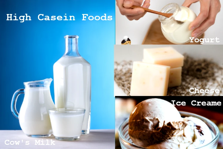 high casein foods of dairy