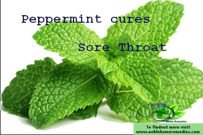 peppermint cures sore throat