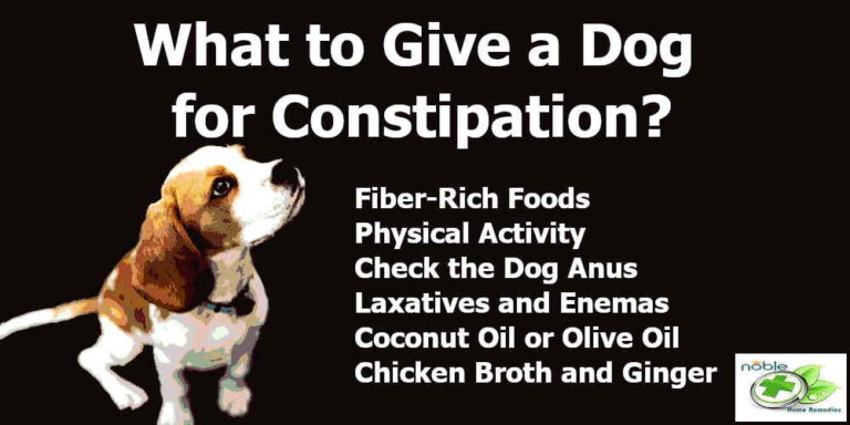 what-to-give-a-toddler-for-constipation-8-natural-foods